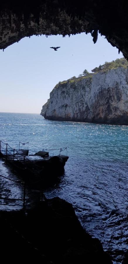 Affittasi Casa Vacanza A Casa Di Emma Leverano Luaran gambar