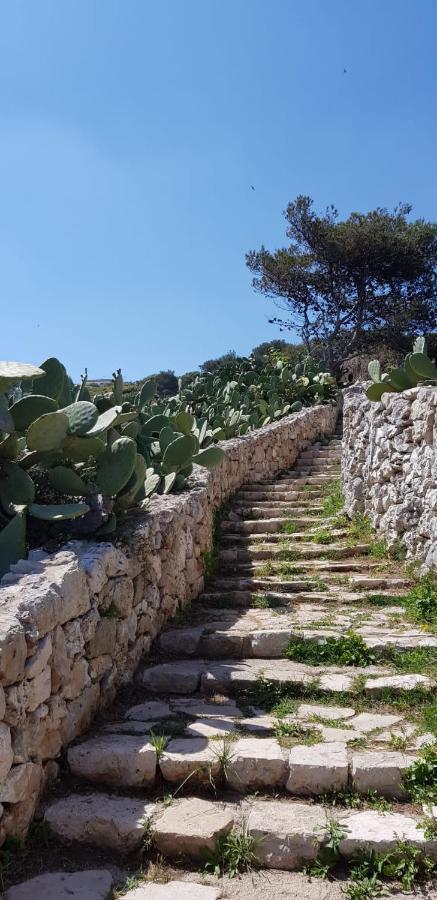 Affittasi Casa Vacanza A Casa Di Emma Leverano Luaran gambar
