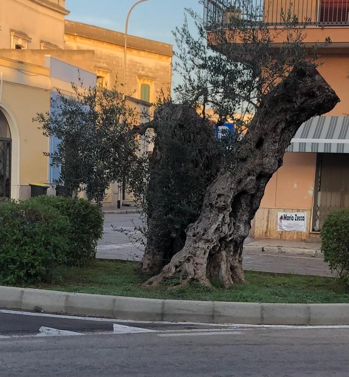 Affittasi Casa Vacanza A Casa Di Emma Leverano Luaran gambar